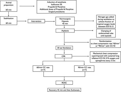 Chest compression rates of 60/min versus 90/min during neonatal cardiopulmonary resuscitation: a randomized controlled animal trial